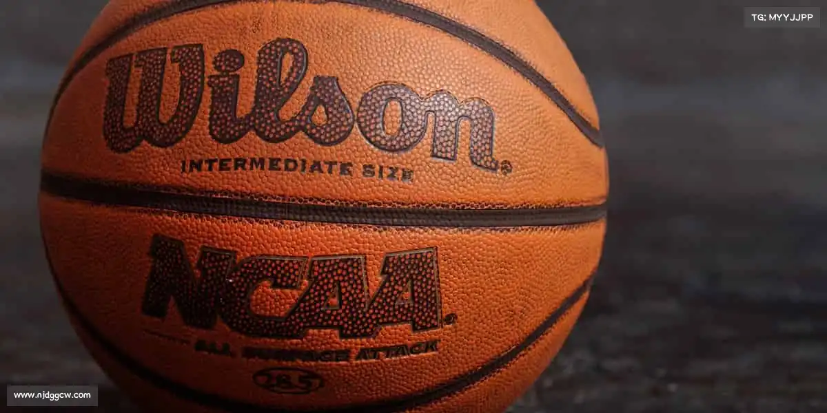 <strong>BB贝博艾弗森官方网站</strong>🏊‍♂️碧波中舒展身心，每一次划水都是自由的绽放！